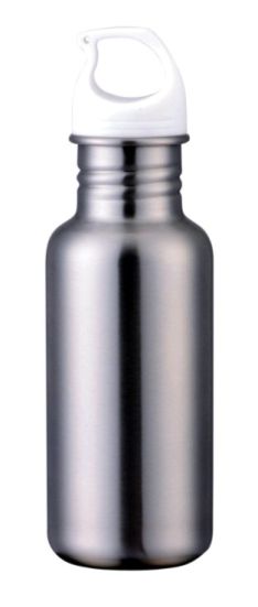 Stainless Steel Bottle